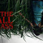 Poster resmi film In the Tall Grass yang menampilkan ladang rumput tinggi misterius dengan nuansa gelap dan atmosfer horor psikologis