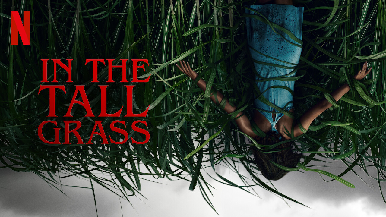 Poster resmi film In the Tall Grass yang menampilkan ladang rumput tinggi misterius dengan nuansa gelap dan atmosfer horor psikologis