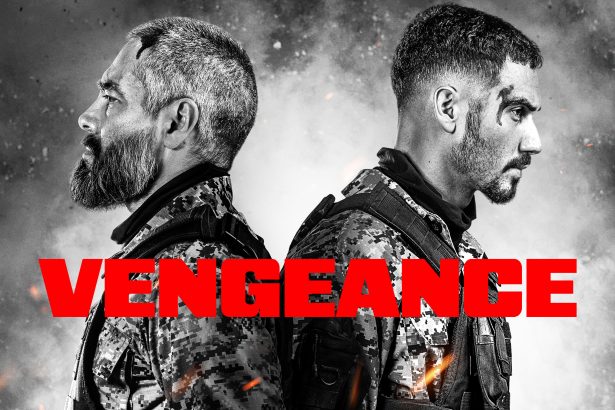 Review Film The Vengeance - Aksi balas dendam